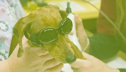 Hover Image